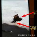 [시사] 충격…압록강 얼음 위에서 죽음을 맞는 북동포 영상, SNS 일파만파