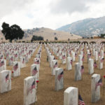 [커뮤니티] USNDC 제8사단 의무여단, 베이커스필드 국립묘지에 5,700송이 헌화