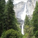 미국 서부지역 자연 100배 즐기기 (25) Sequoia-Kings Canyon-Yosemite National Park