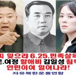자유북한운동연합, 풍선 20개에 대북전단 50만장 살포